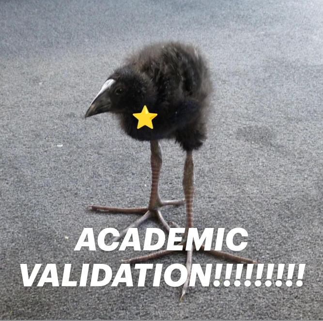 pukeko:⟨academic_validation.webp⟩