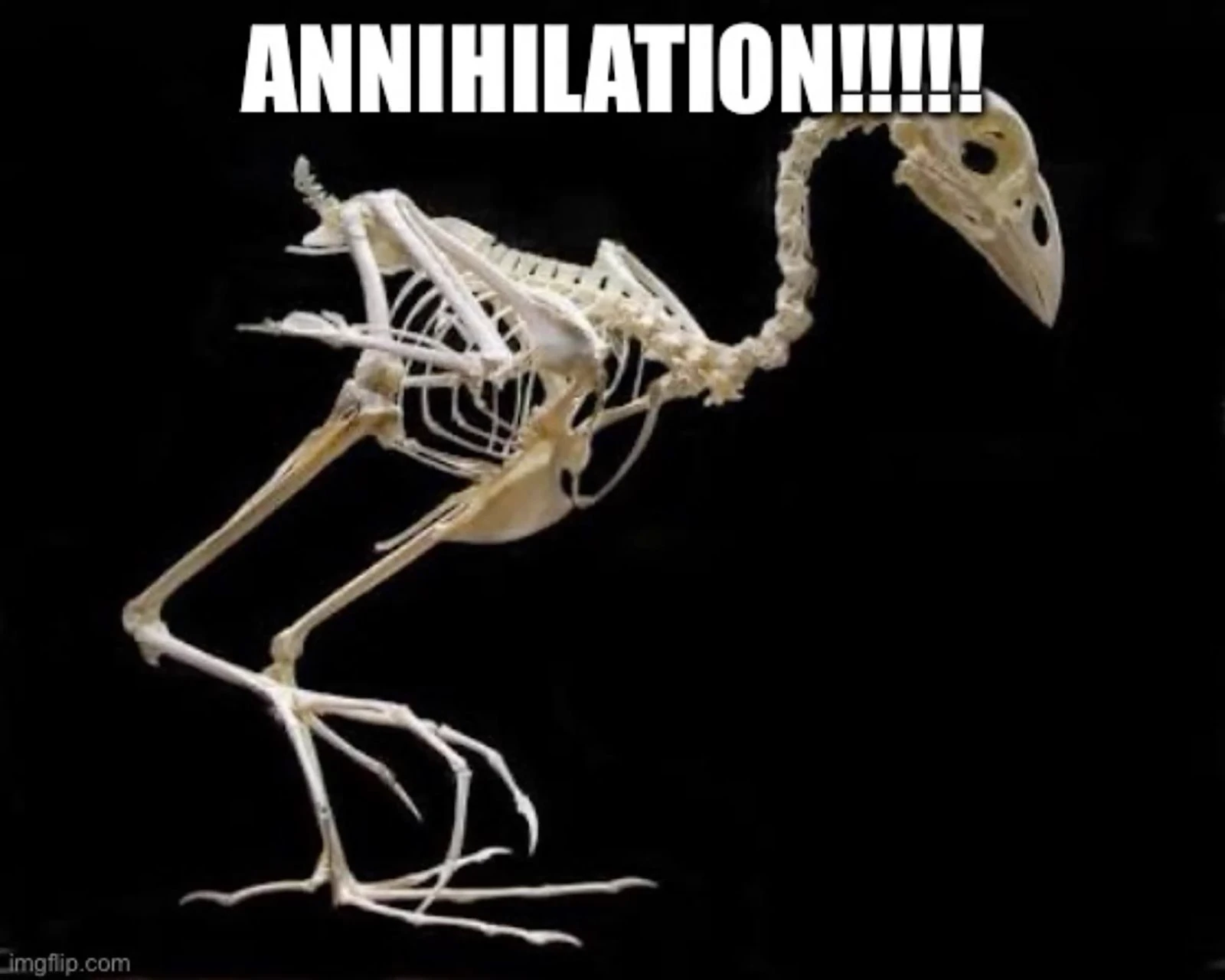 pukeko:⟨annihilation.webp⟩