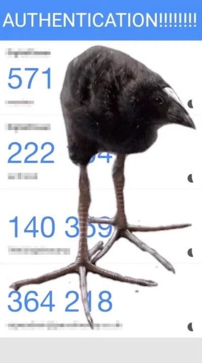 pukeko:⟨authentication.webp⟩