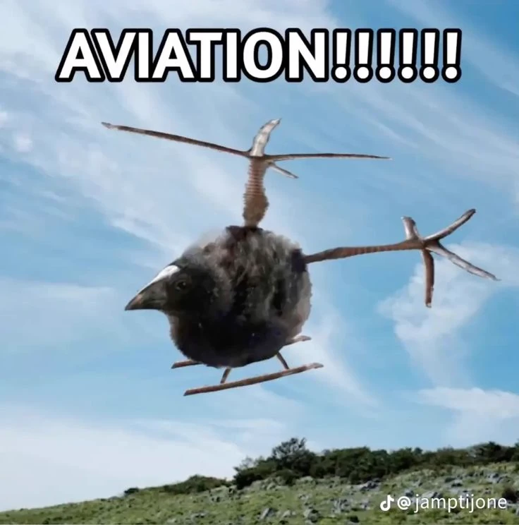 pukeko:⟨aviation.webp⟩