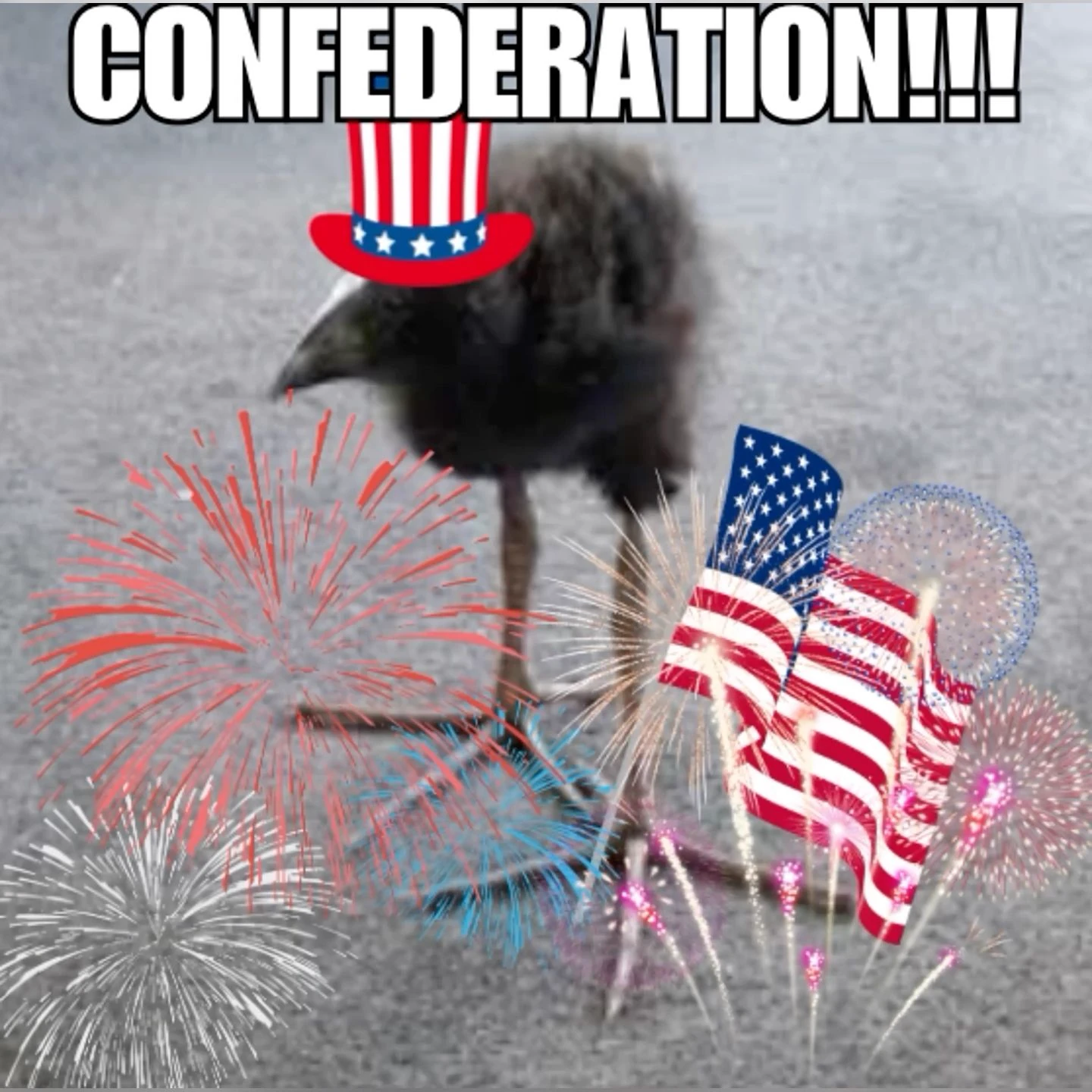 pukeko:⟨confederation.webp⟩
