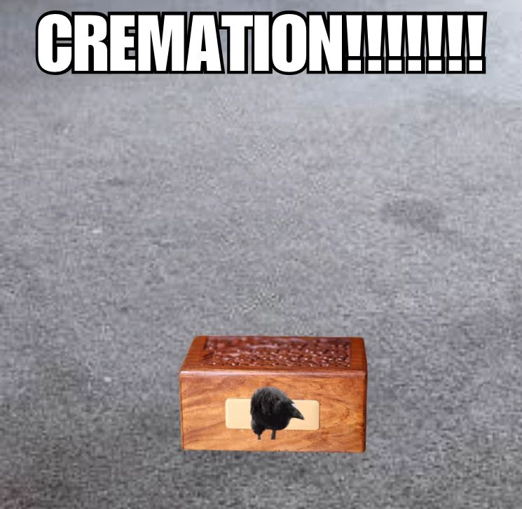 pukeko:⟨cremation.webp⟩