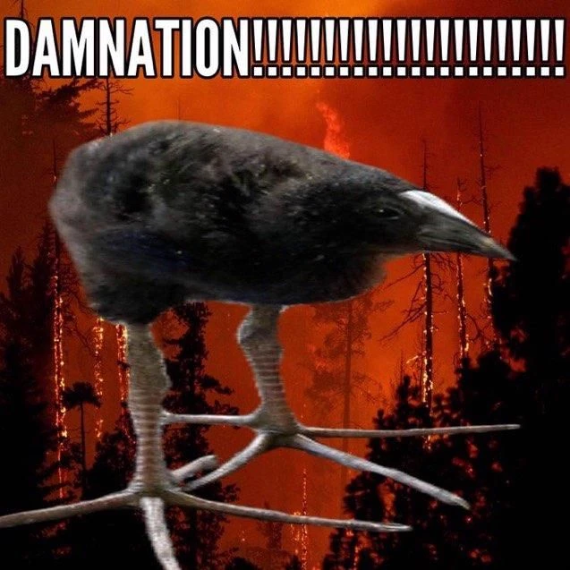 pukeko:⟨damnation.webp⟩