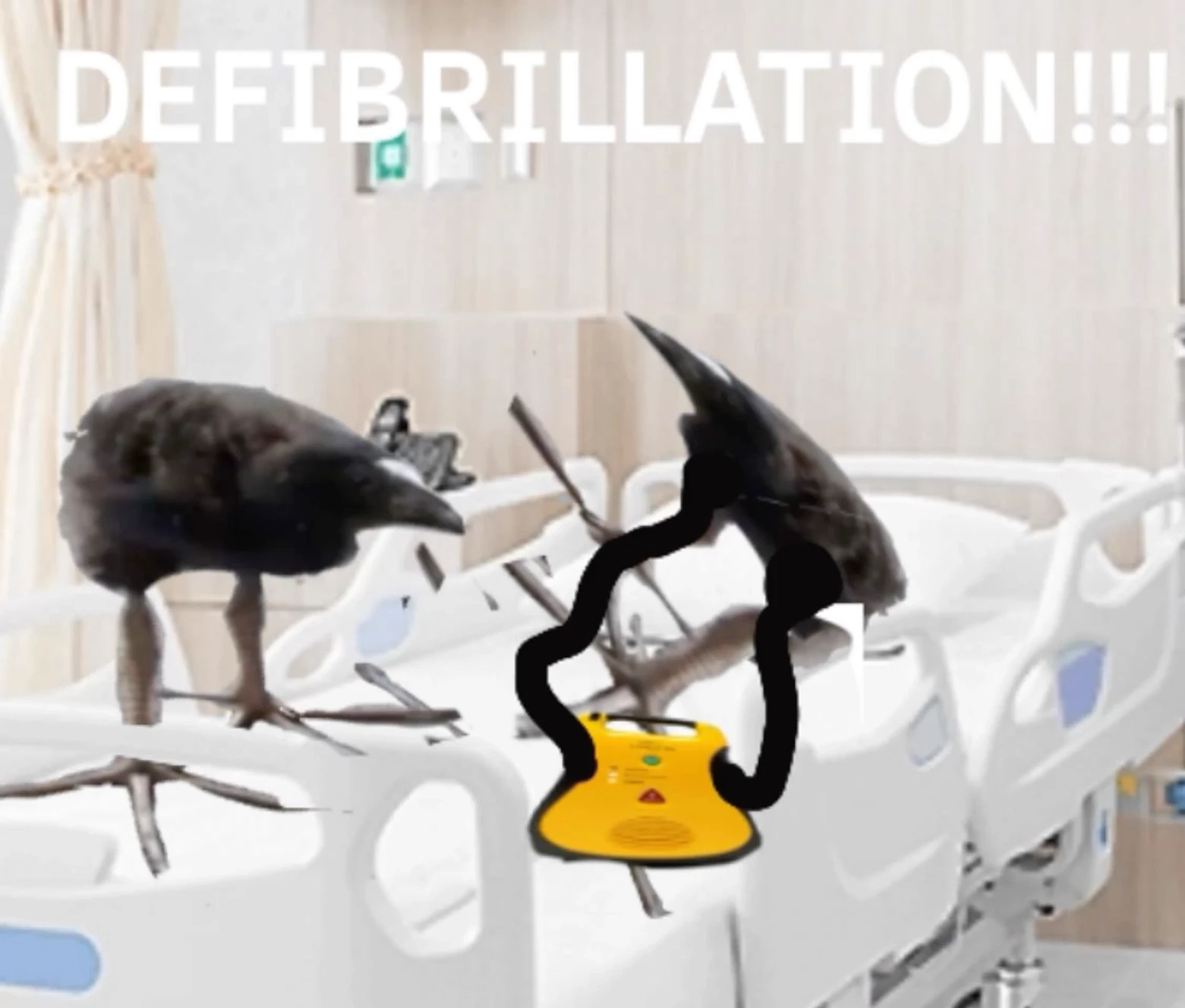 pukeko:⟨defibrilation.webp⟩