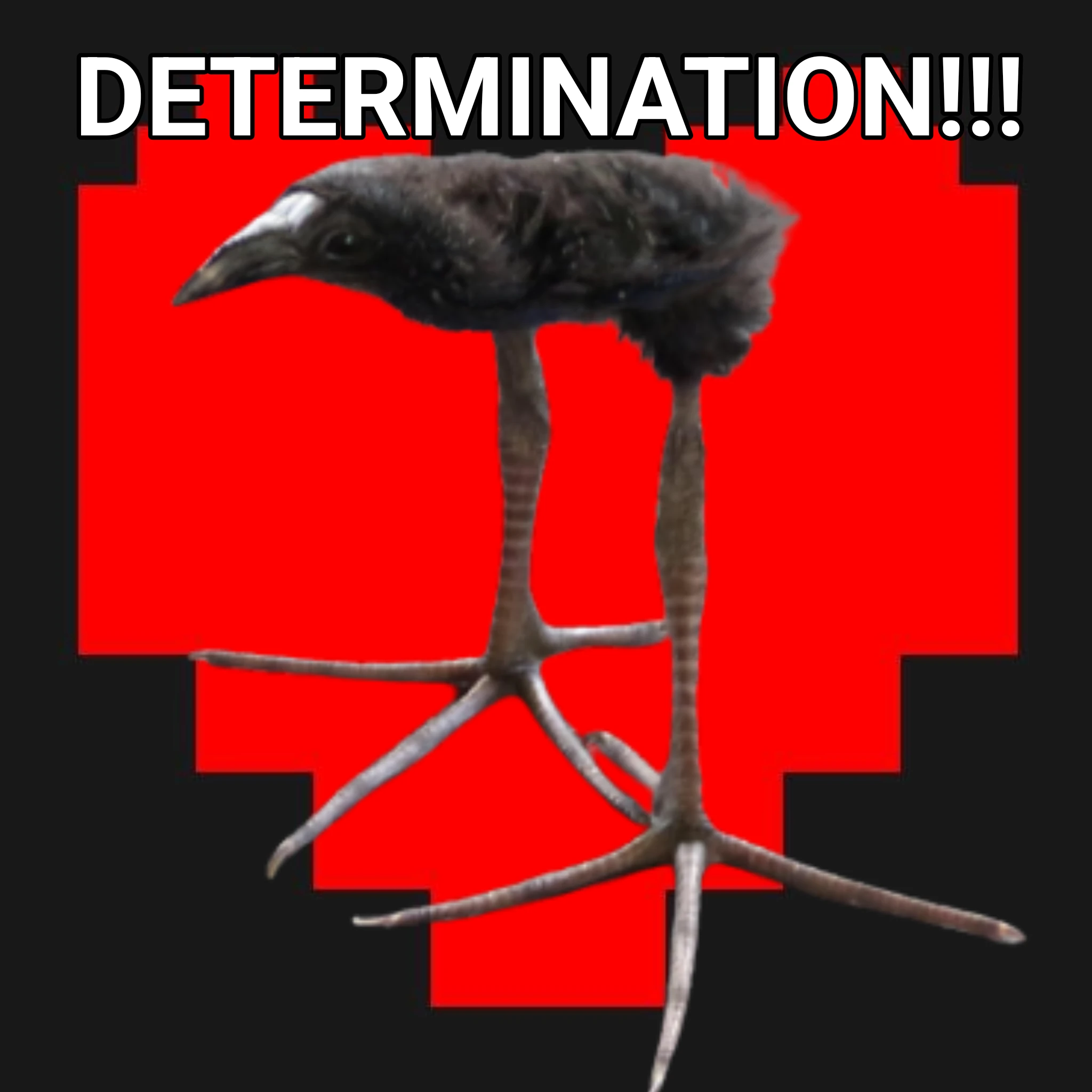 pukeko:⟨determination.webp⟩