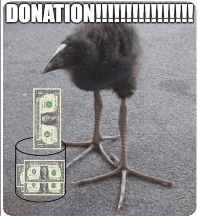 pukeko:⟨donation.webp⟩