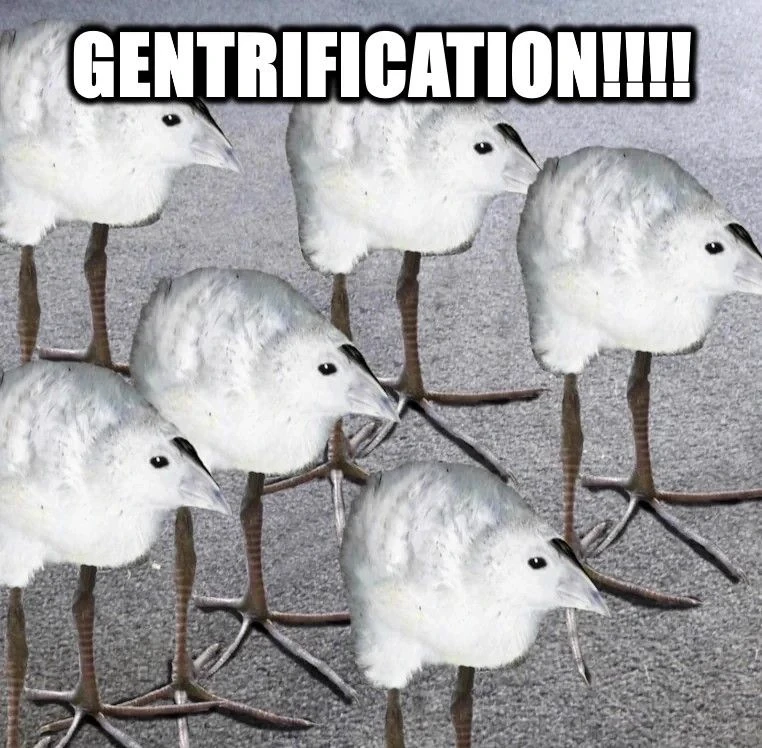 pukeko:⟨gentrification.webp⟩