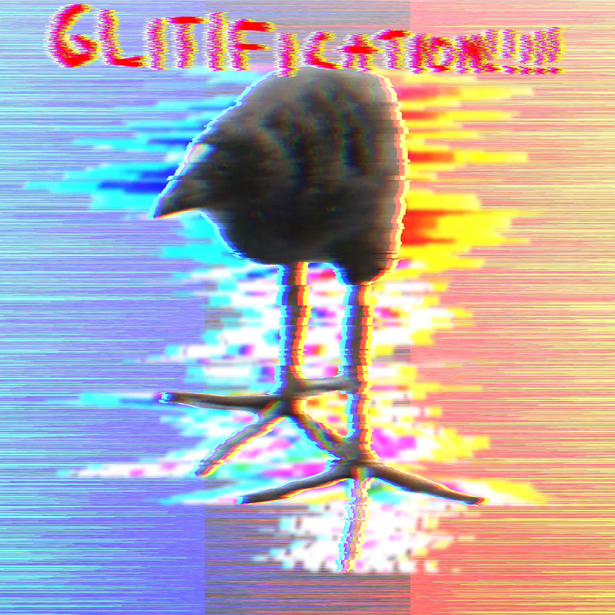 pukeko:⟨glitification.webp⟩