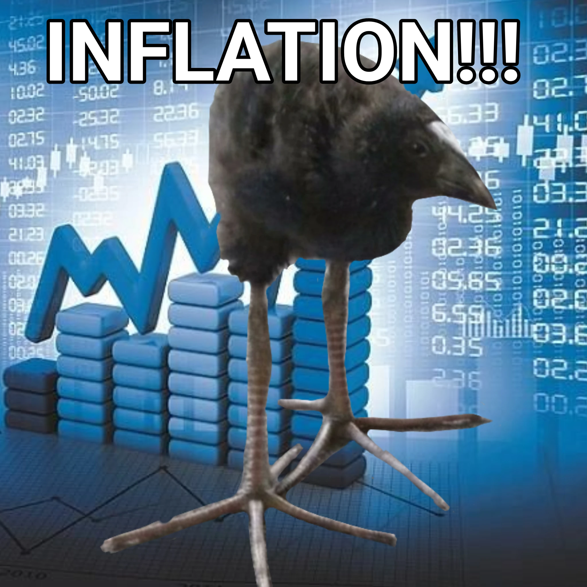 pukeko:⟨inflation.webp⟩