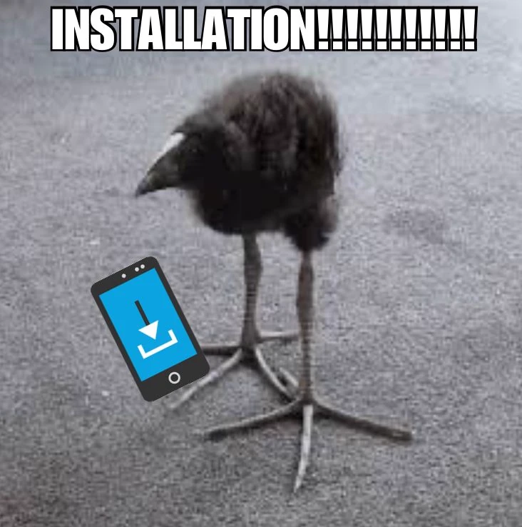 pukeko:⟨installation.webp⟩