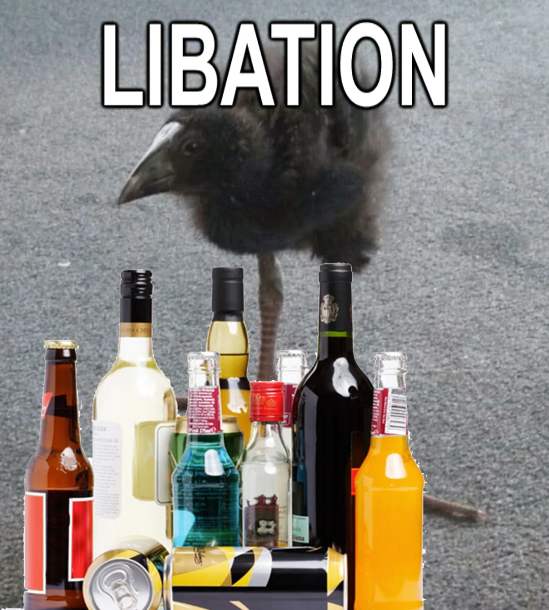 pukeko:⟨libation.webp⟩