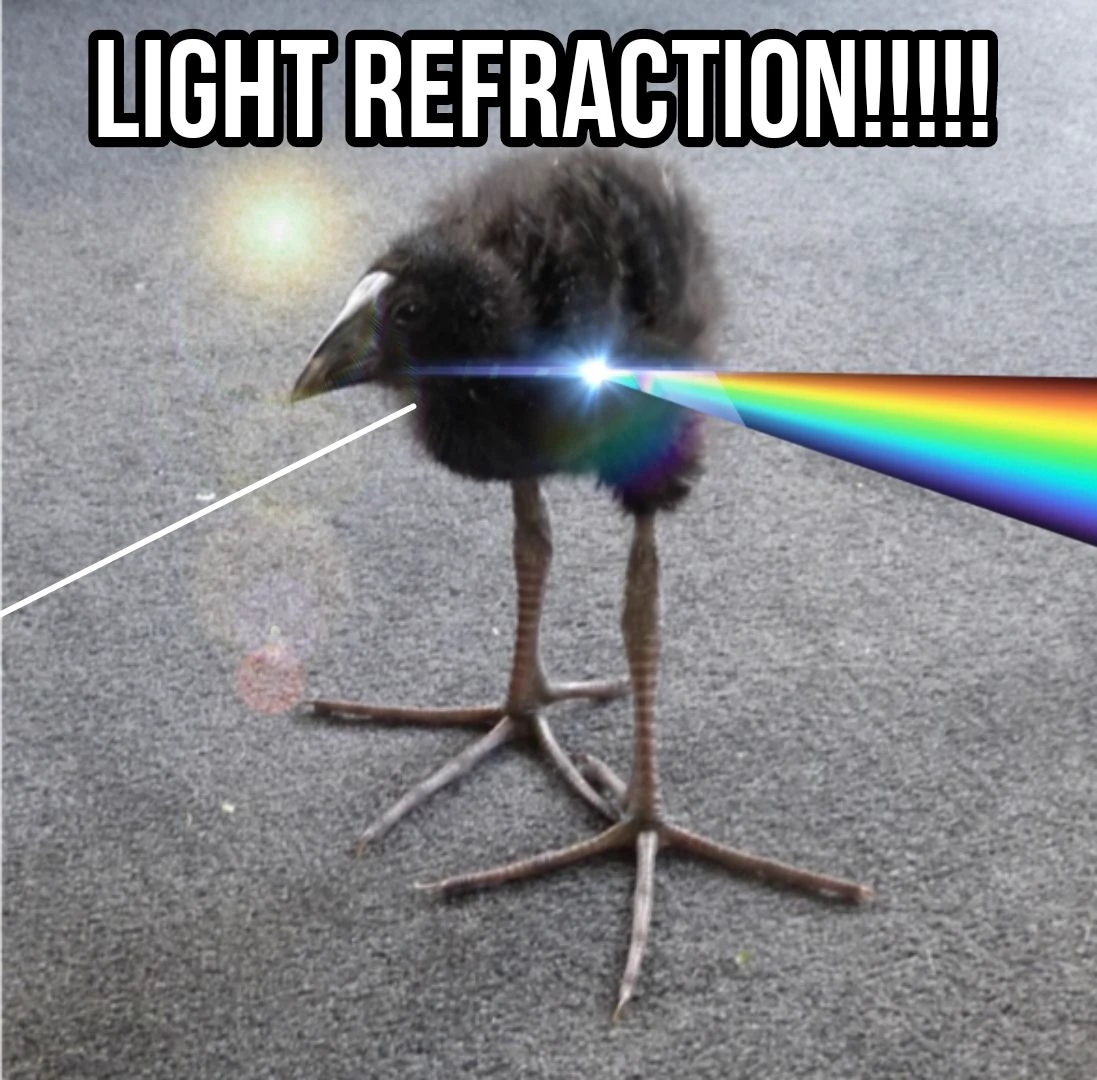 pukeko:⟨light_refraction.webp⟩