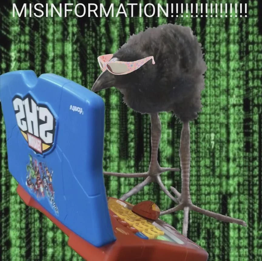 pukeko:⟨misinformation.webp⟩