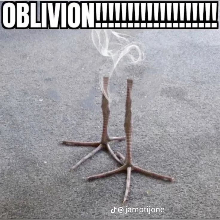 pukeko:⟨oblivion.webp⟩