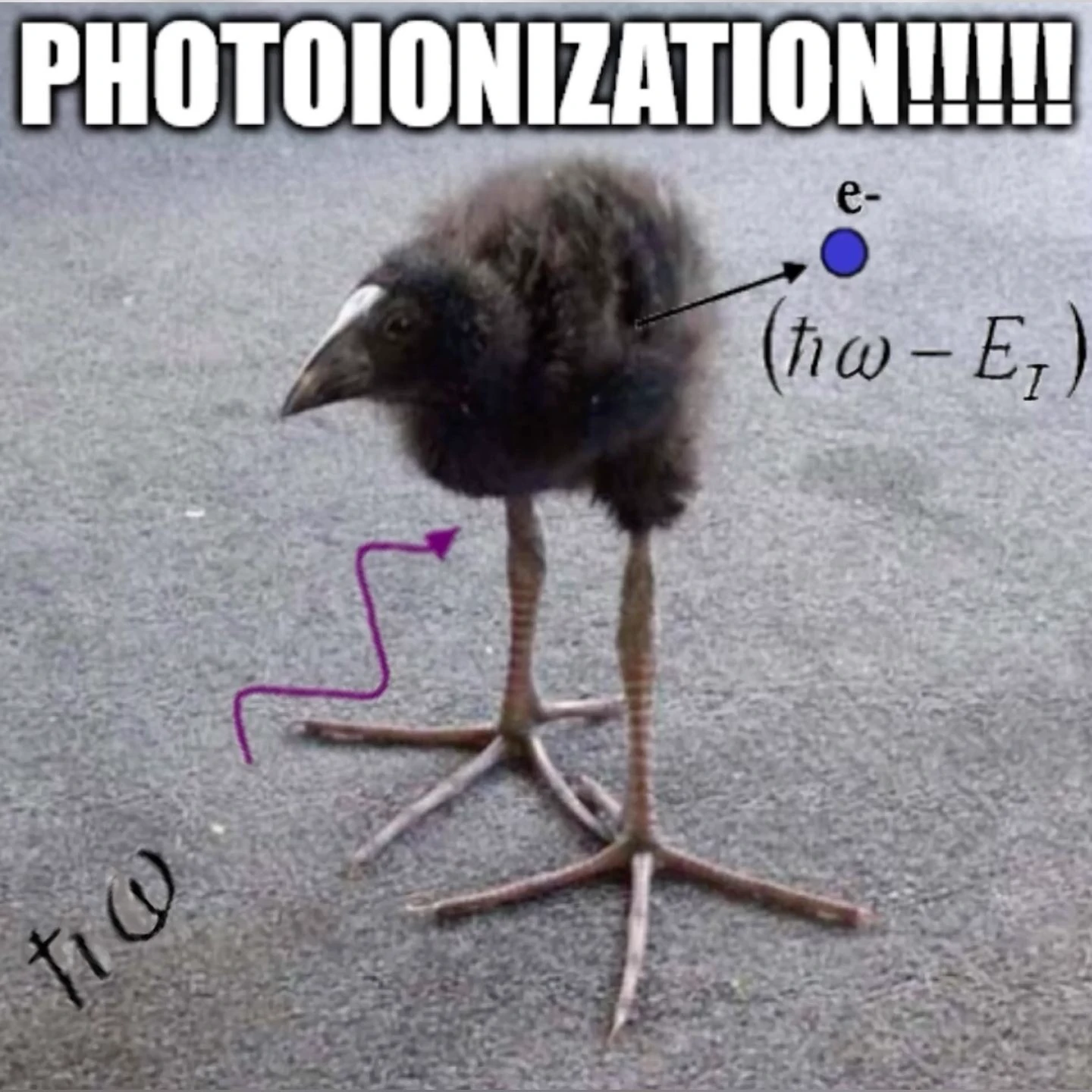 pukeko:⟨photoionization.webp⟩
