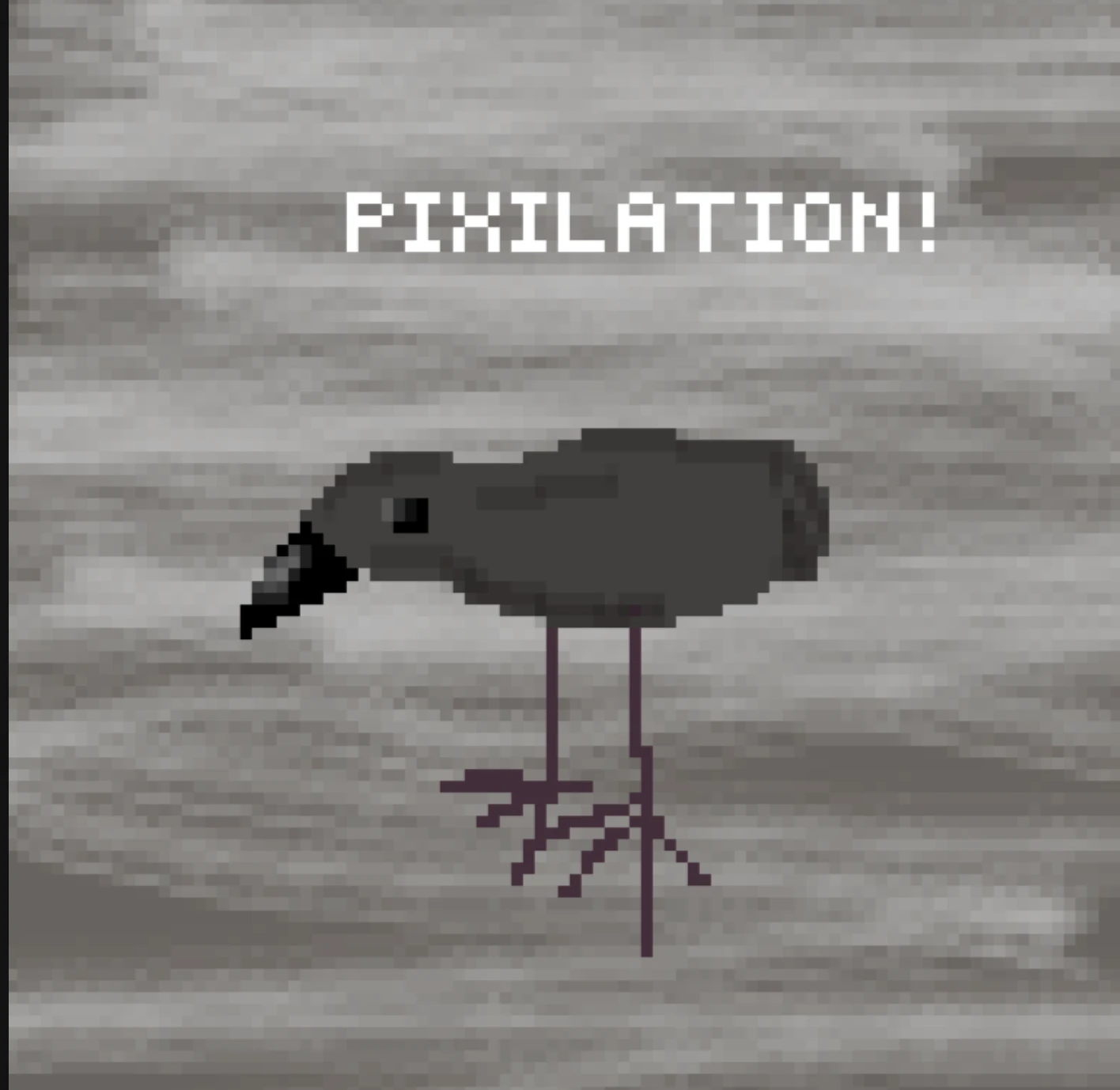 pukeko:⟨pixilation.webp⟩