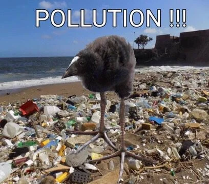 pukeko:⟨pollution.webp⟩