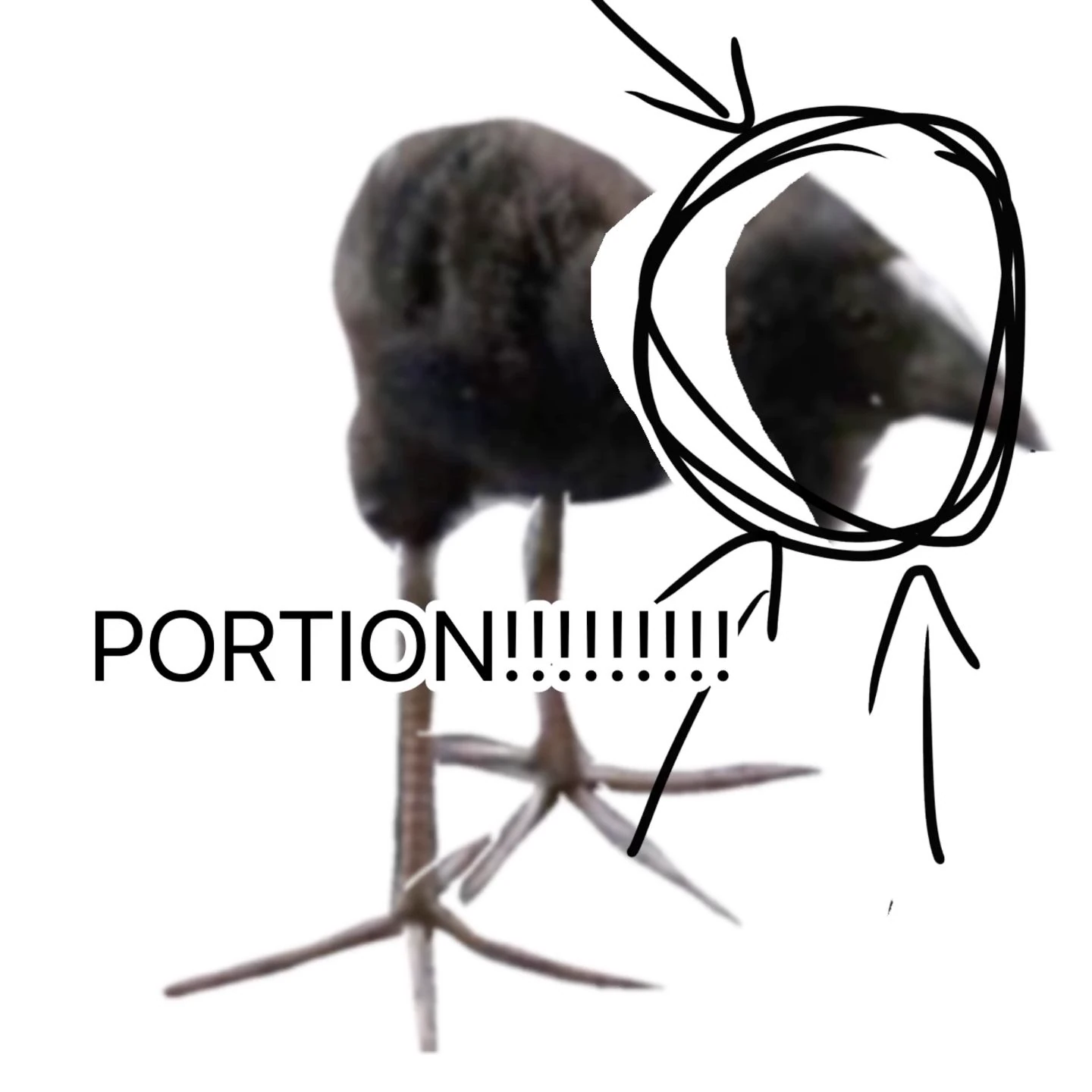 pukeko:⟨portion.webp⟩