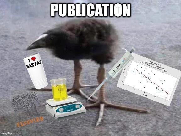 pukeko:⟨publication.webp⟩