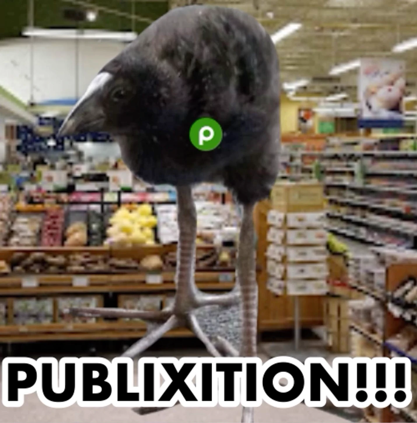 pukeko:⟨publixition.webp⟩