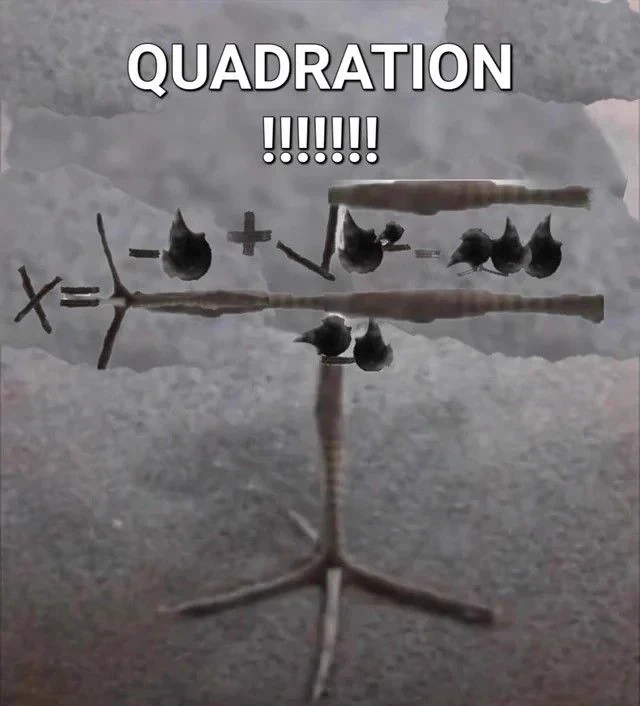 pukeko:⟨quadration.webp⟩