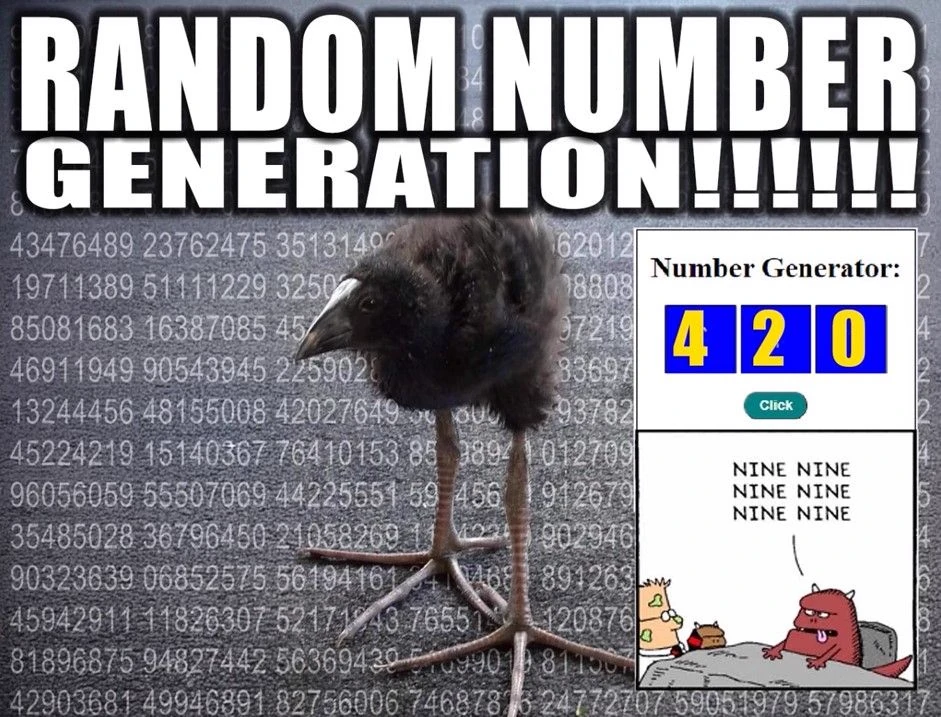 pukeko:⟨random_number_generation.webp⟩