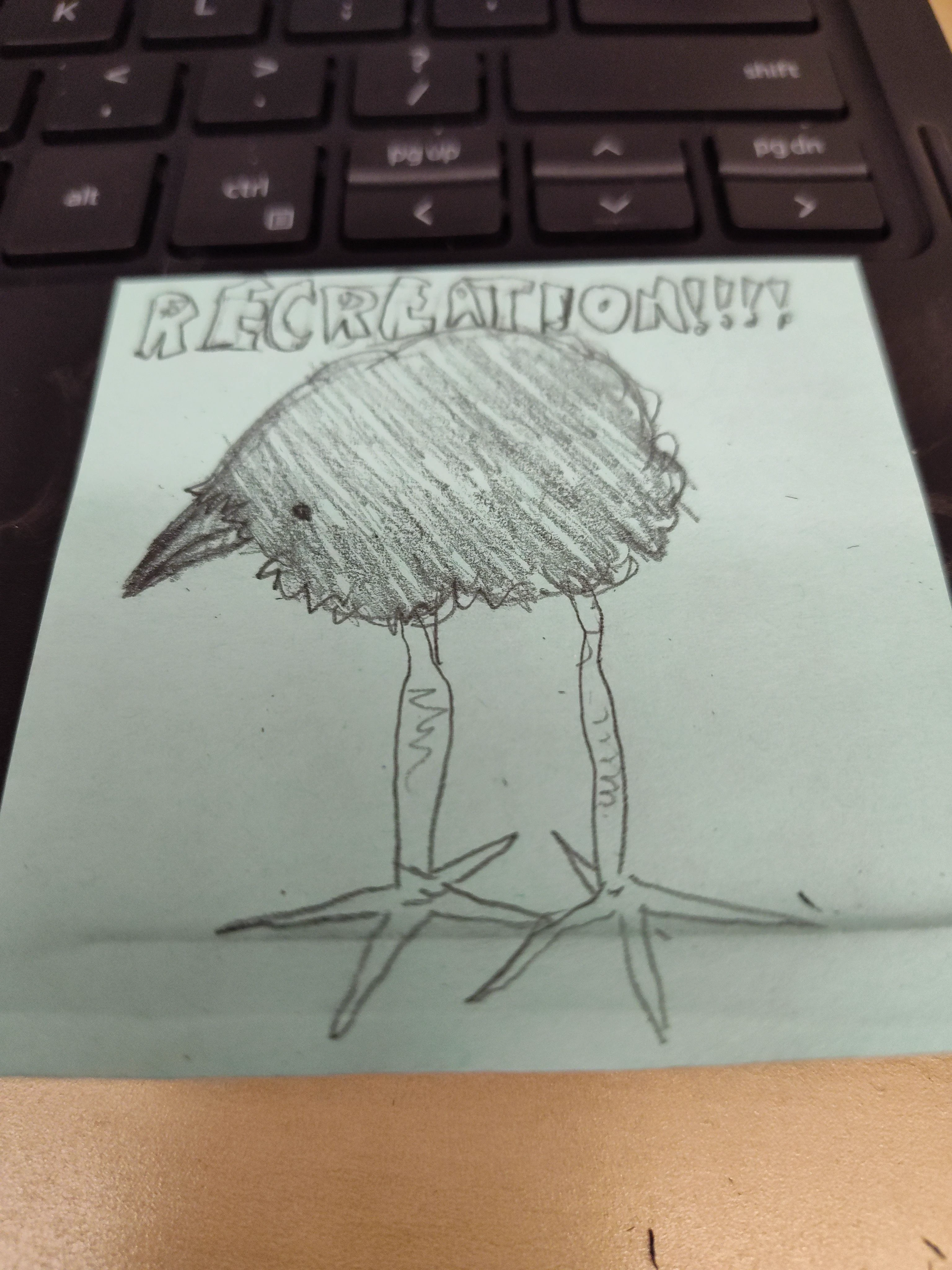 pukeko:⟨recreation.webp⟩