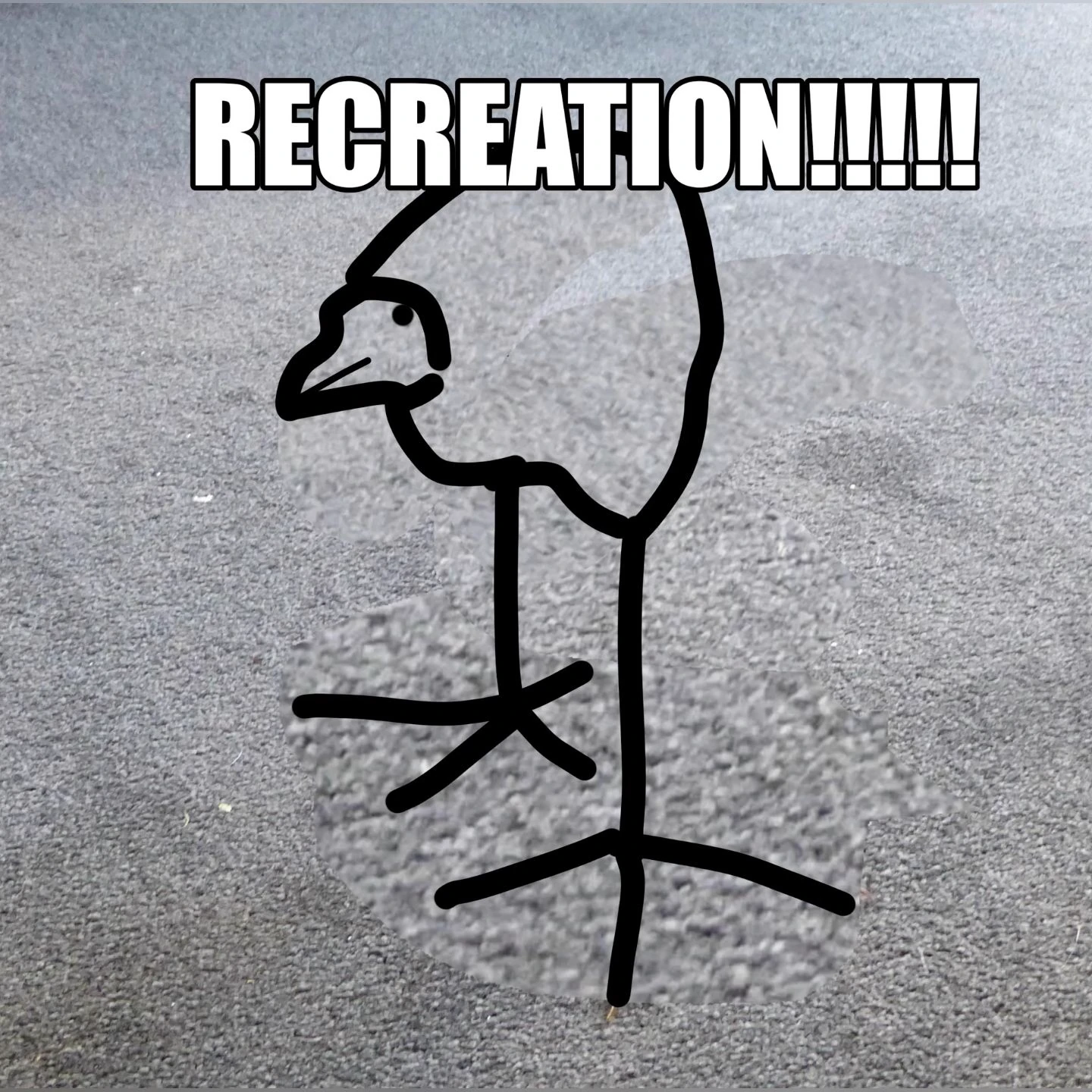 pukeko:⟨recreation_line_art.webp⟩