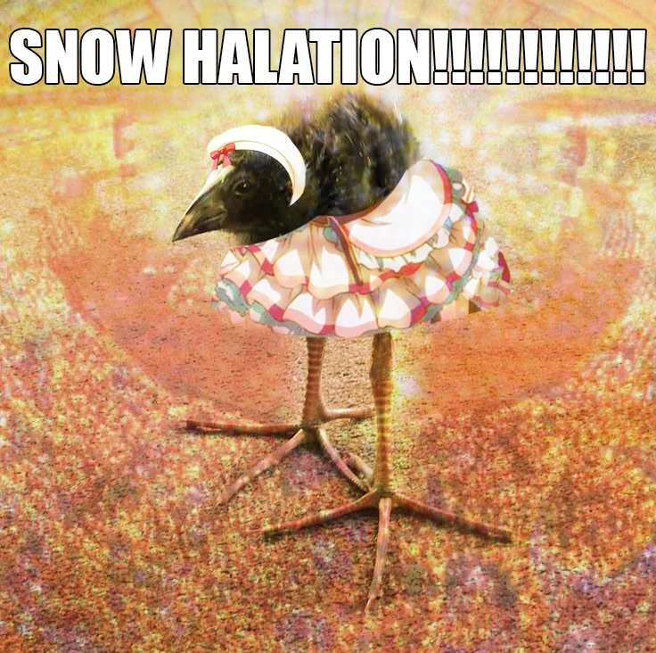 pukeko:⟨snow_halation.webp⟩