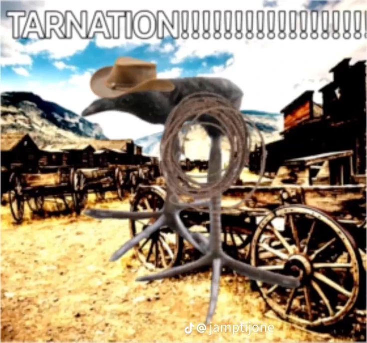 pukeko:⟨tarnation.webp⟩