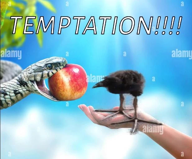 pukeko:⟨temptation.webp⟩