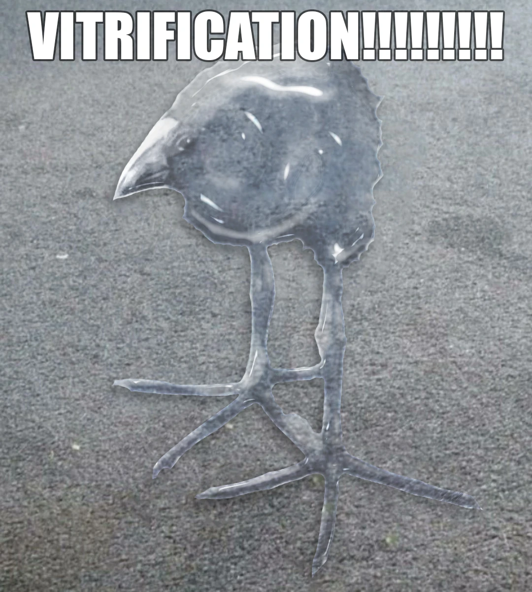 pukeko:⟨vitrification.webp⟩